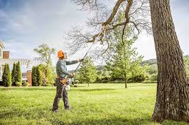 Best Seasonal Cleanup (Spring/Fall)  in Poquoson, VA