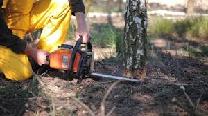 Best Weed Control  in Poquoson, VA
