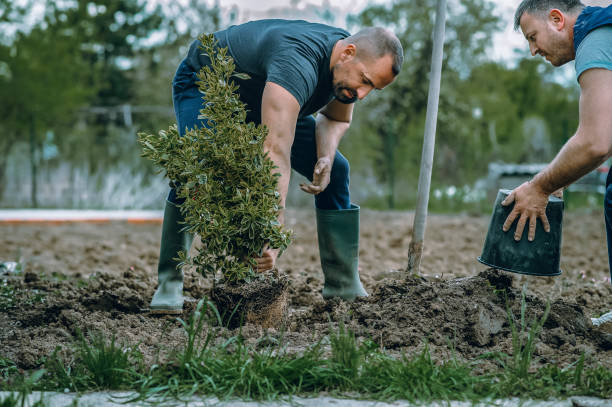 Best Landscape Design and Installation  in Poquoson, VA
