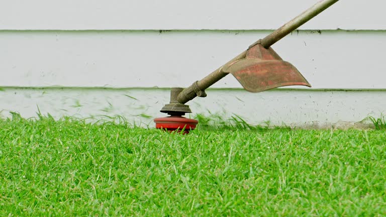 Best Hedge Trimming  in Poquoson, VA